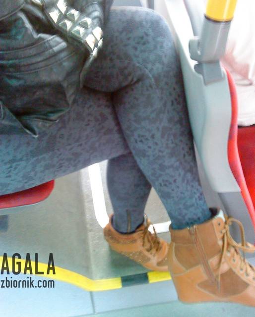 DSC02795L.jpg - AGALA