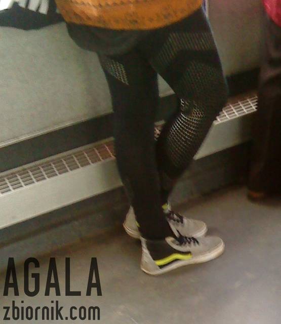 DSC02786L.jpg - AGALA