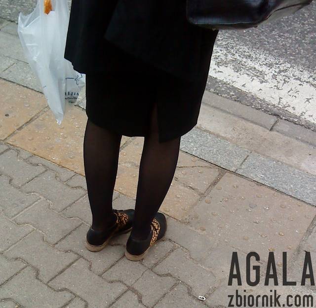 DSC02813cz.jpg - AGALA