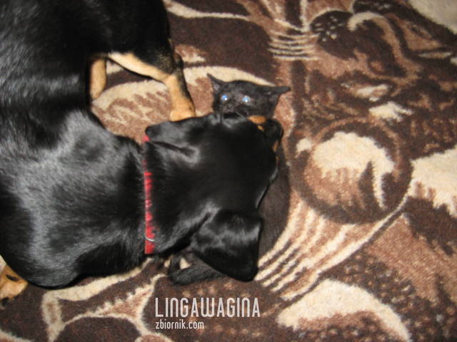 W.27.05.13 026.jpg - lingawagina