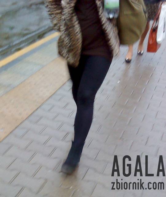 DSC02823L.jpg - AGALA