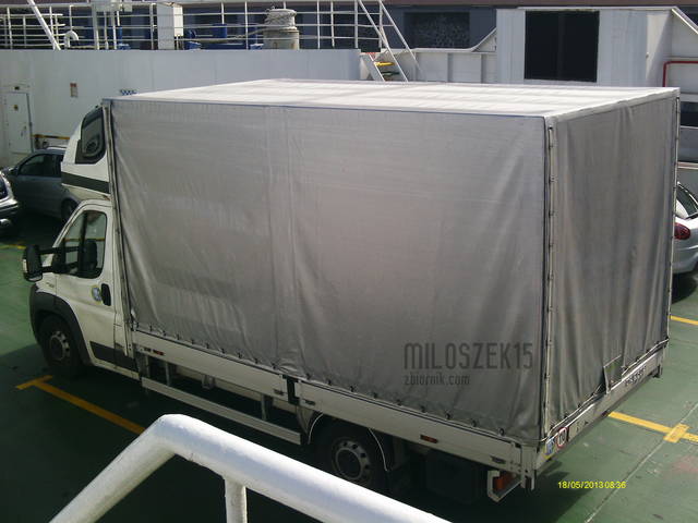 MÓJ 'ŻUCZEK' - miloszek15