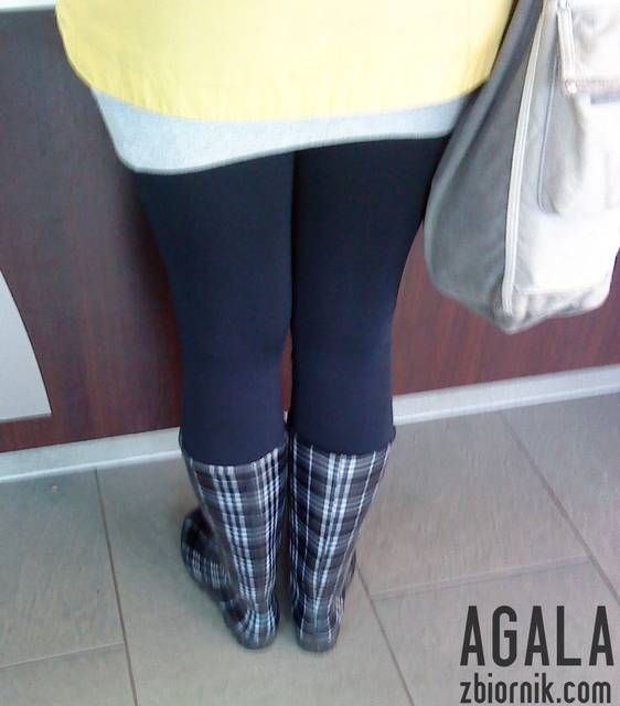 DSC02835L.jpg - AGALA