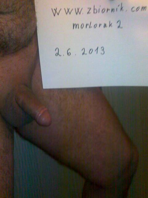 02062013240.jpg - morlorak2