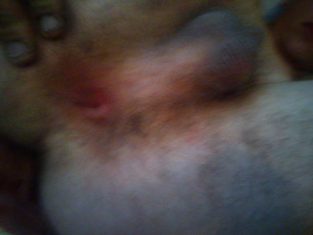 DSC00038.jpg - pawe16