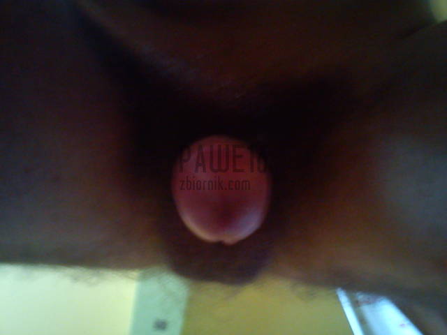 DSC00063.jpg - pawe16