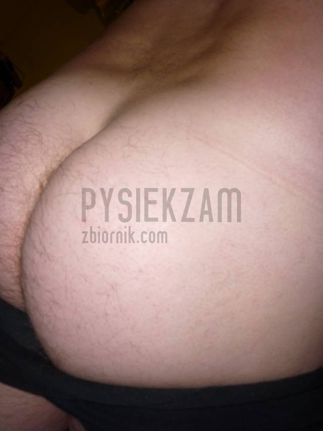 pysiekzam