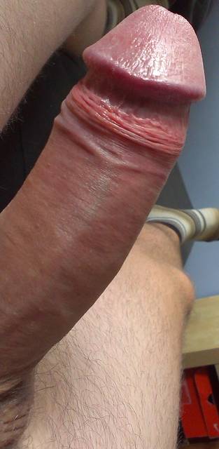 penis2.jpg - assddsf