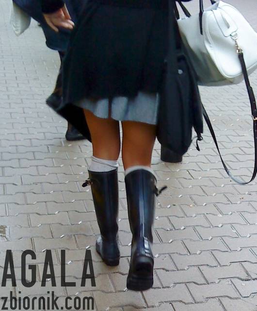 DSC02963odj.jpg - AGALA