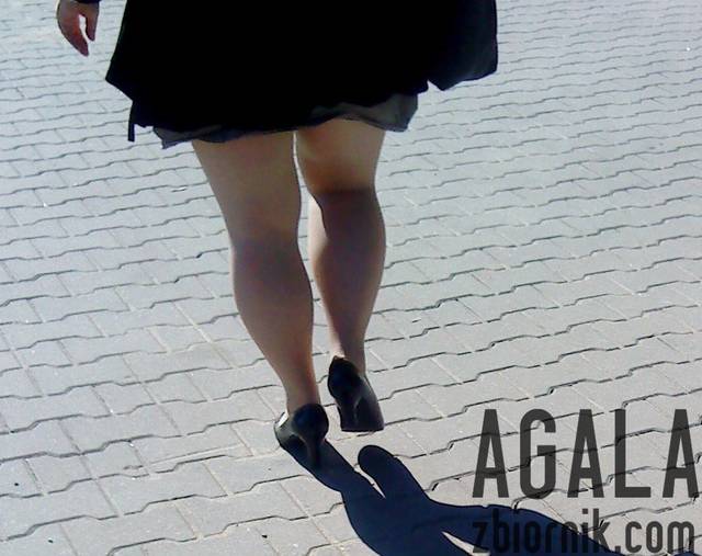 DSC03076v.jpg - AGALA