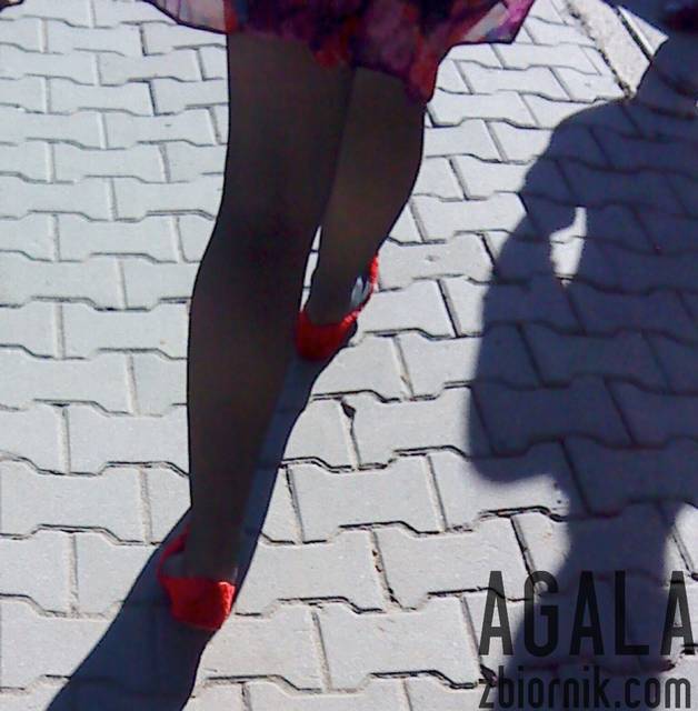 DSC03045cz.jpg - AGALA