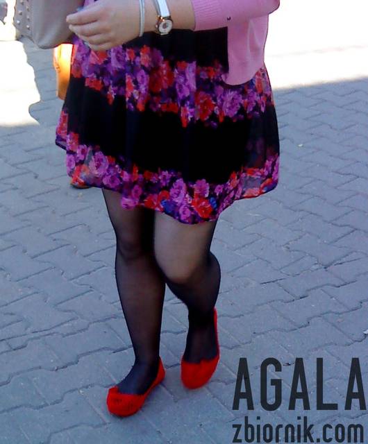 DSC03041cz.jpg - AGALA