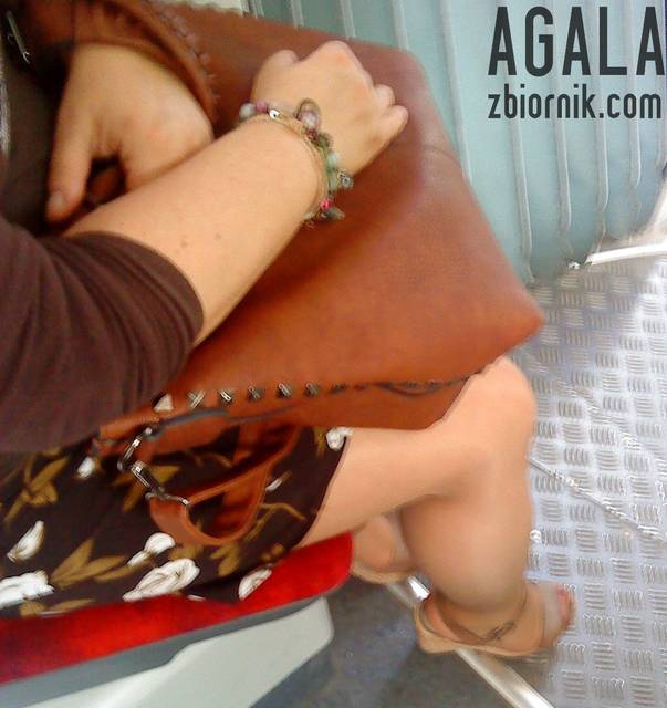 DSC03175kl.jpg - AGALA