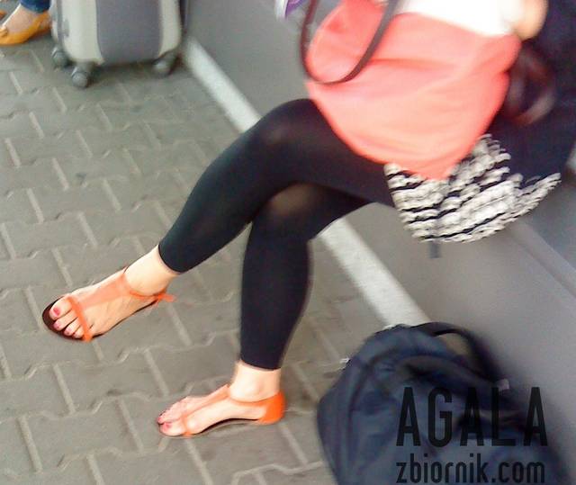 DSC03123L.jpg - AGALA