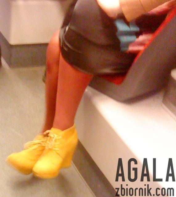 DSC03204kol.jpg - AGALA