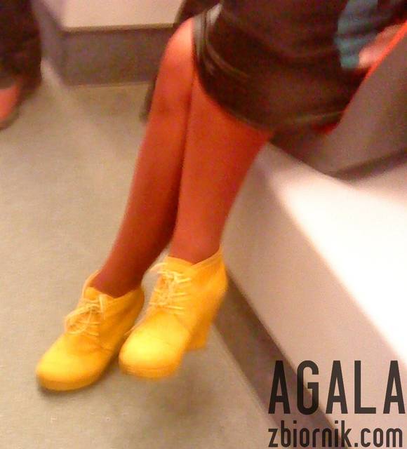 DSC03203kol.jpg - AGALA