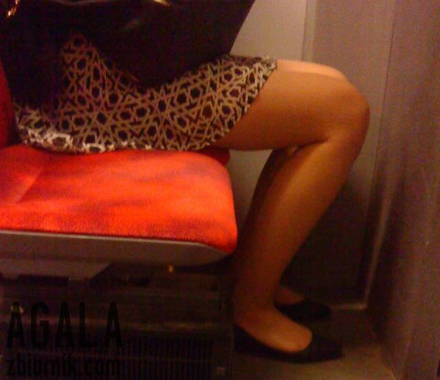 DSC03191kl.jpg - AGALA