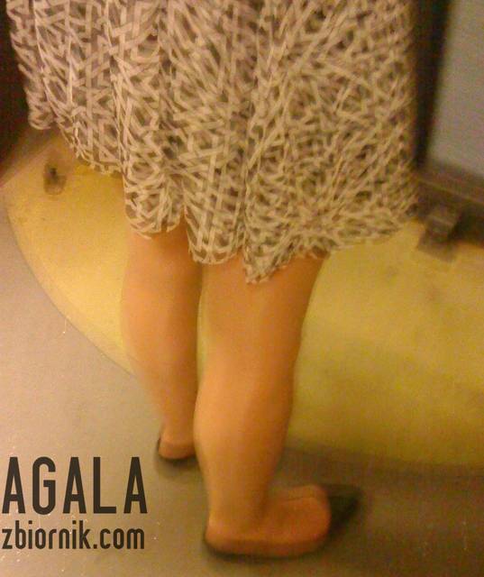 DSC03195kl.jpg - AGALA