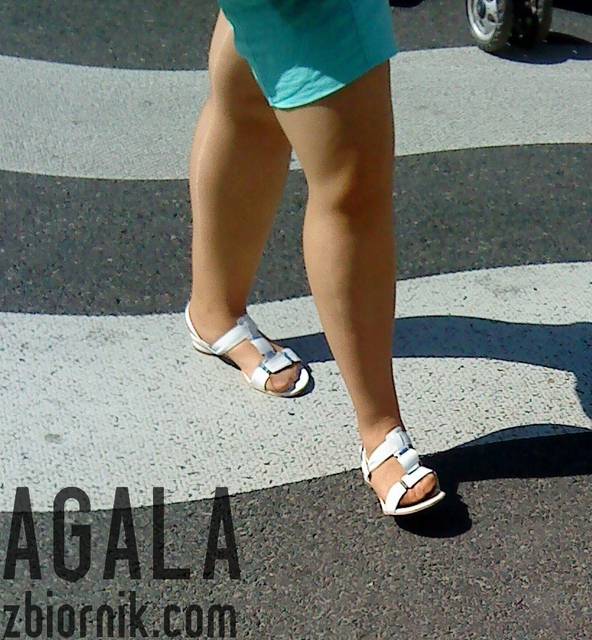 DSC03243kl.jpg - AGALA