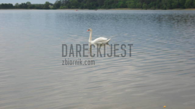 SAM_0666.JPG - Dareckijest