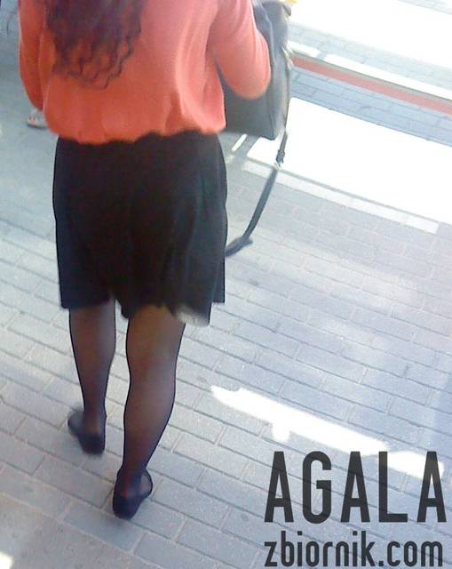 DSC03277cz.jpg - AGALA