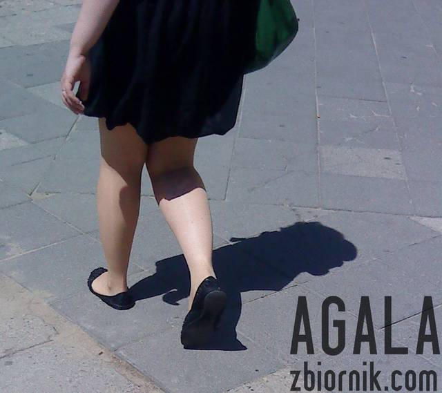 DSC03315kl.jpg - AGALA