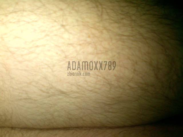 adamoxx789
