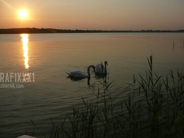 pg4 081.jpg - rafixxx1