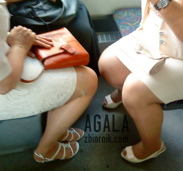 DSC03323kl.jpg - AGALA