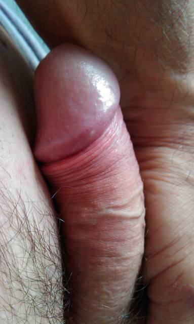 IMAG0214.2.jpg - ny39