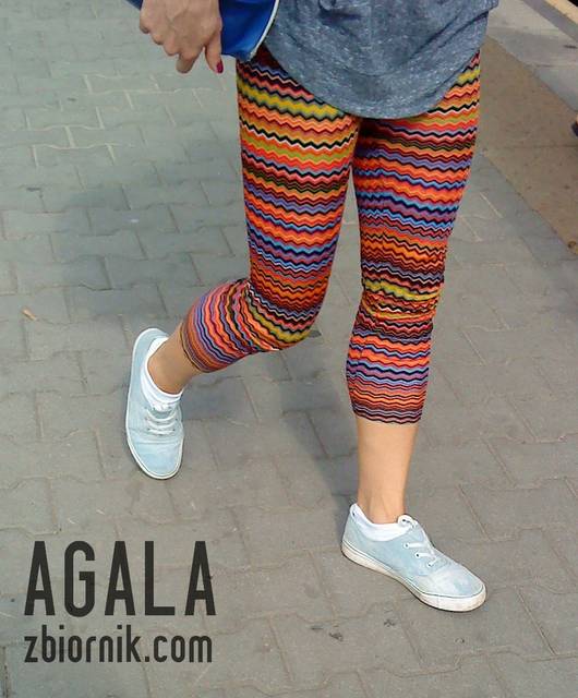 DSC03339L.jpg - AGALA