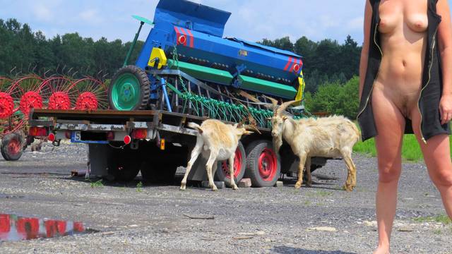 A Cap się patrzy - ada77