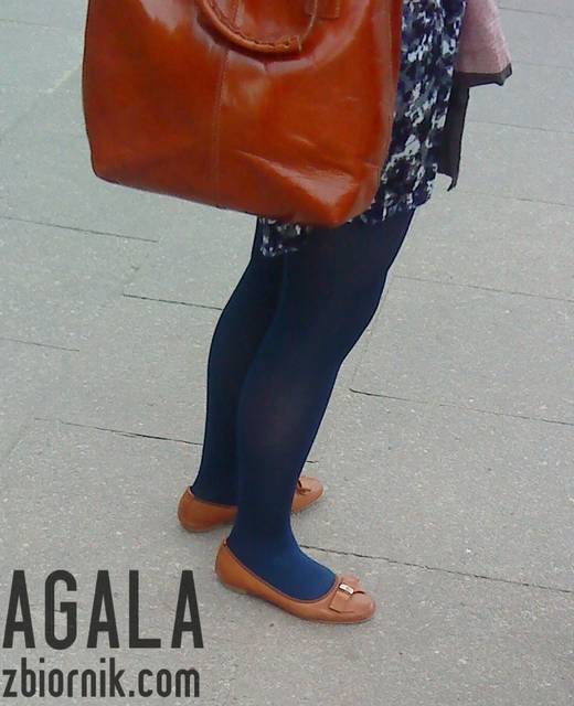 DSC03463kol.jpg - AGALA