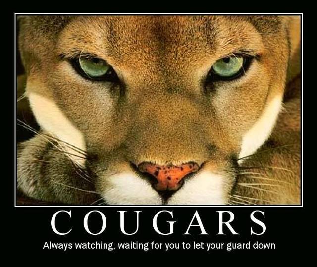 Cougars