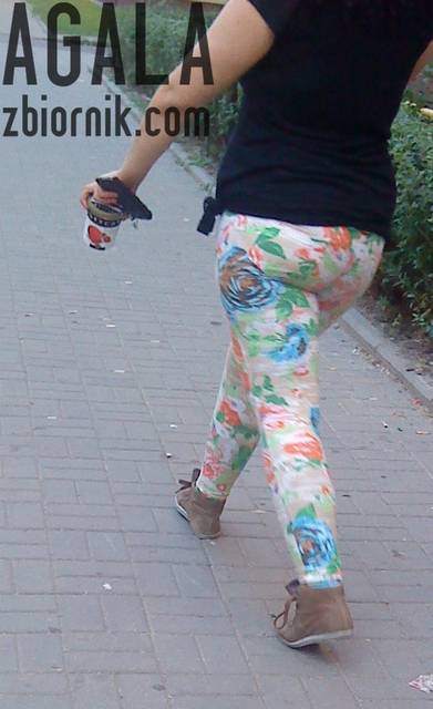 DSC03503L.jpg - AGALA