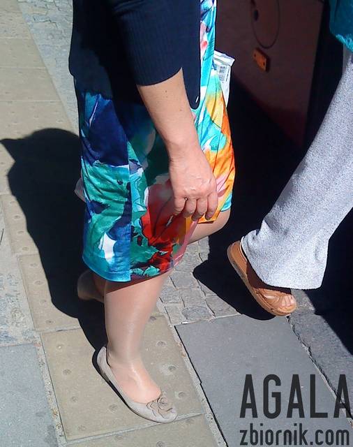 DSC03500kl.jpg - AGALA