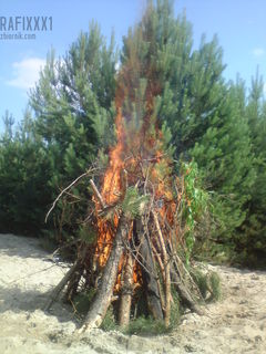 Pogoria IV Ognisko 07 lipiec