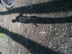 ...między drzewami....?