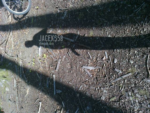 ...między drzewami....? - jaceks58