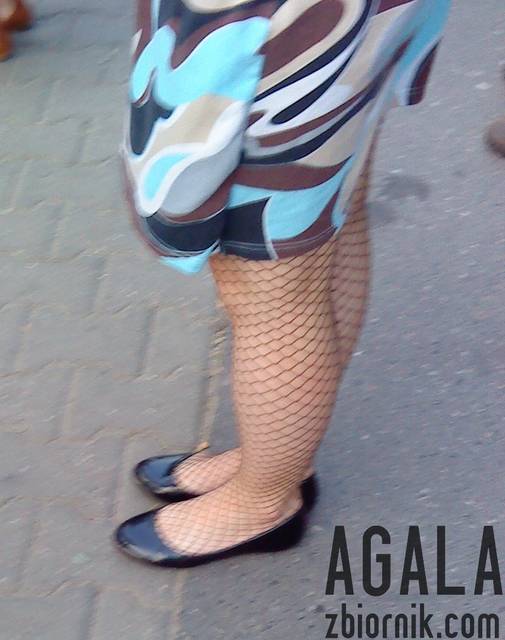 DSC03527odj.jpg - AGALA