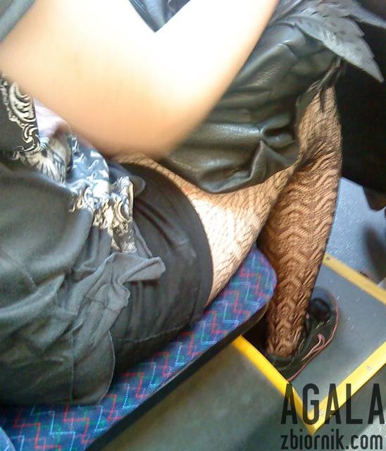 DSC03542odj.jpg - AGALA