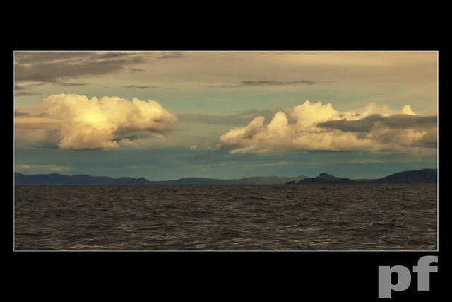 SMOKI - DWA - panfoto