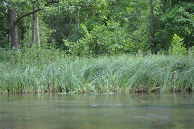 zielen :) - Eurydyka2956