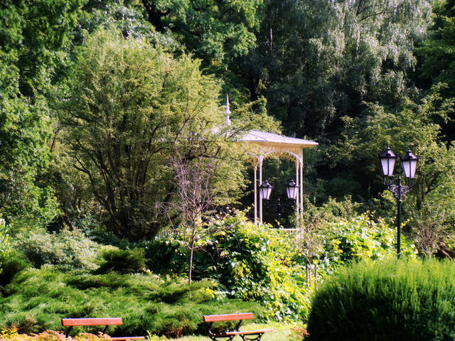 Zaczarowany Ogród Racheli - mefisto75