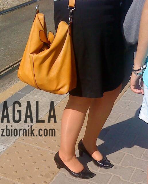 DSC03574kl.jpg - AGALA