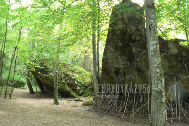 Kwatera Hitlera  - Eurydyka2956