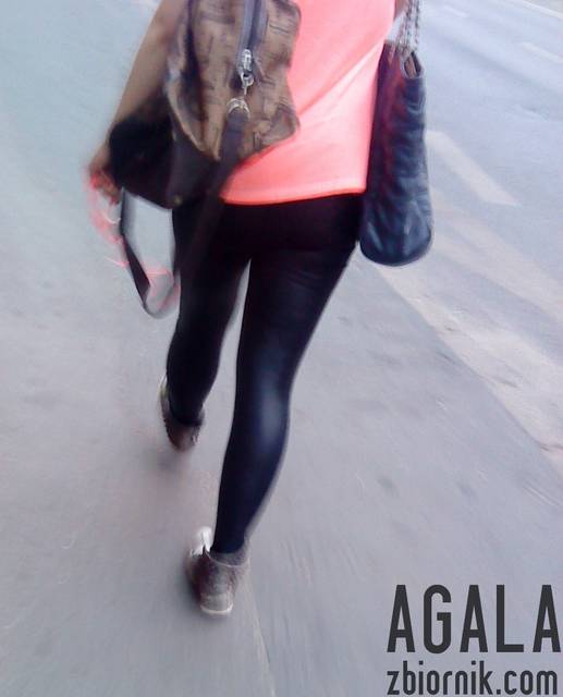 DSC03625L.jpg - AGALA