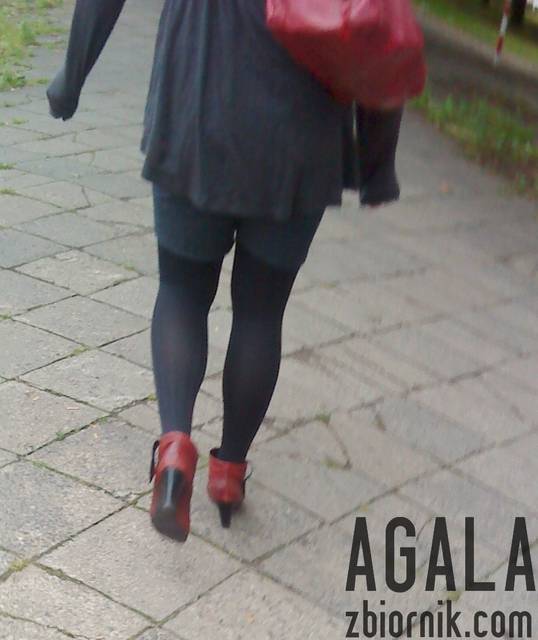 DSC03636odj.jpg - AGALA