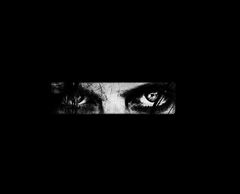 my eyes