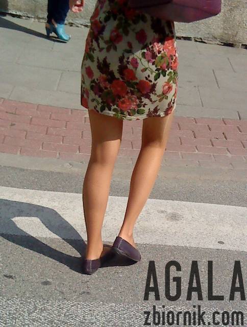 DSC03691kl.jpg - AGALA